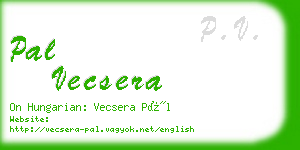 pal vecsera business card